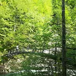 ホテル Berghof 3*