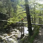 Berghof 3* Гаминг