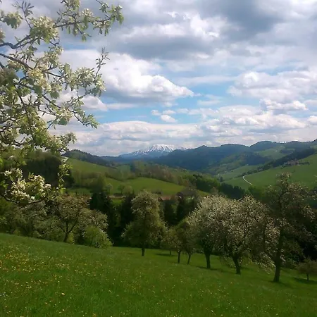 Hotel Berghof Gaming