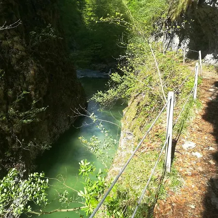 Berghof فندق غامينغ