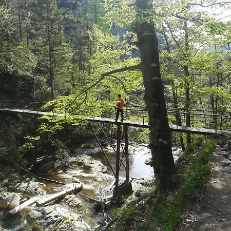 Berghof 3* Gaming